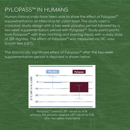 Pylopass™ - 120 Capsules - 200 Billion CFU/g - Supports Elimination of Harmful Bacteria H. Pylori in Stomach & Gut
