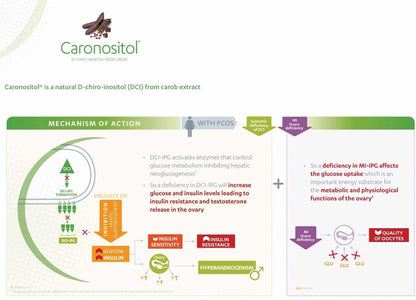 Diagram explaining the mechanism of action of Caronositol with text and icons on a white background.