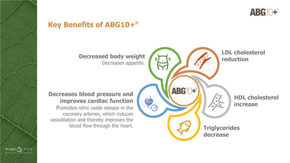 Key benefits of ABG10+ with icons and text on a green and white background
