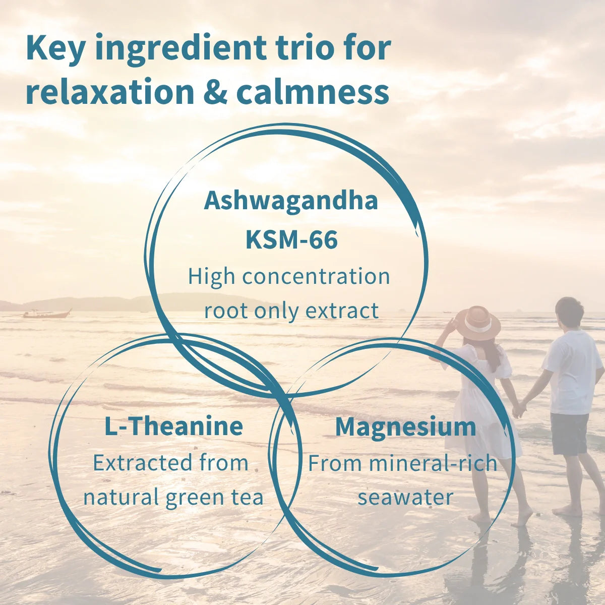 Diagram of key ingredient trio for relaxation and calmness with people on a beach in the background.