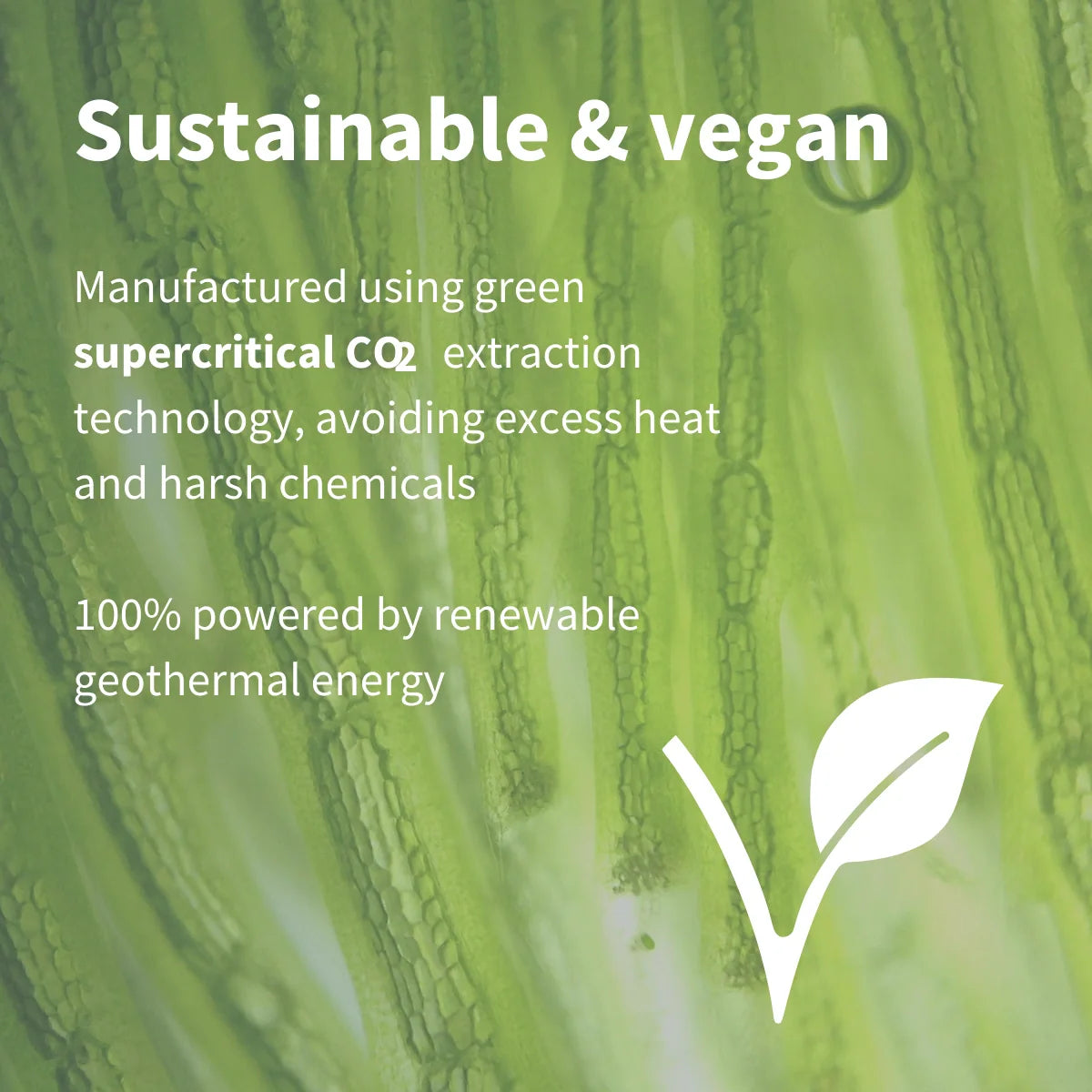 Green background with text about sustainable and vegan manufacturing, featuring a leaf icon.