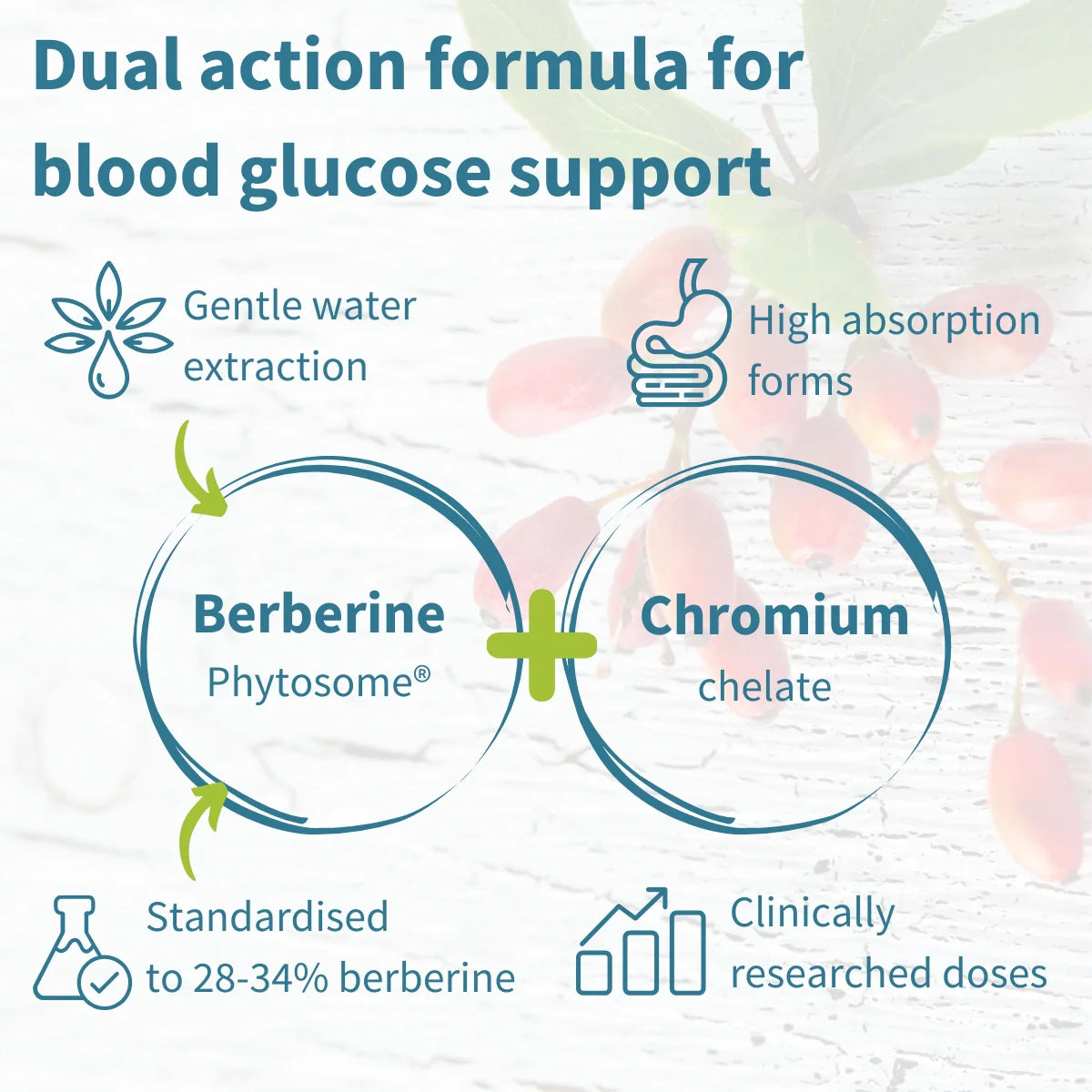 Diagram of Berberine Phytosome and Chromium chelate for blood glucose support with text on a floral background.