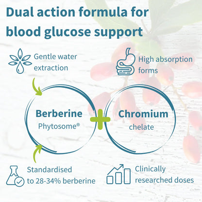 Diagram of Berberine Phytosome and Chromium chelate for blood glucose support with text on a floral background.