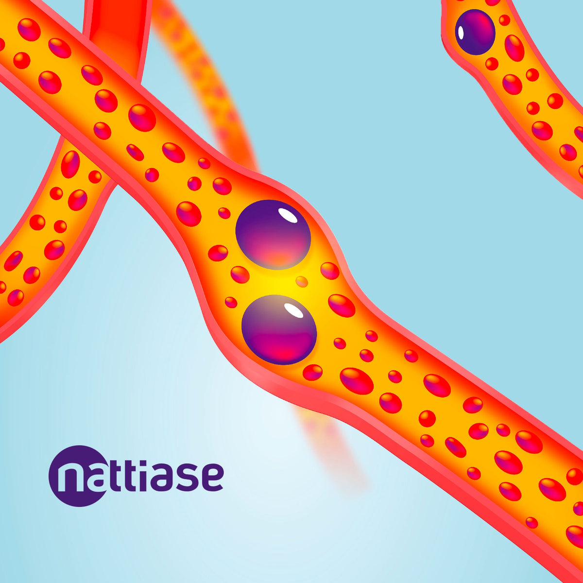 Illustration of a blood vessel with Nattiase logo