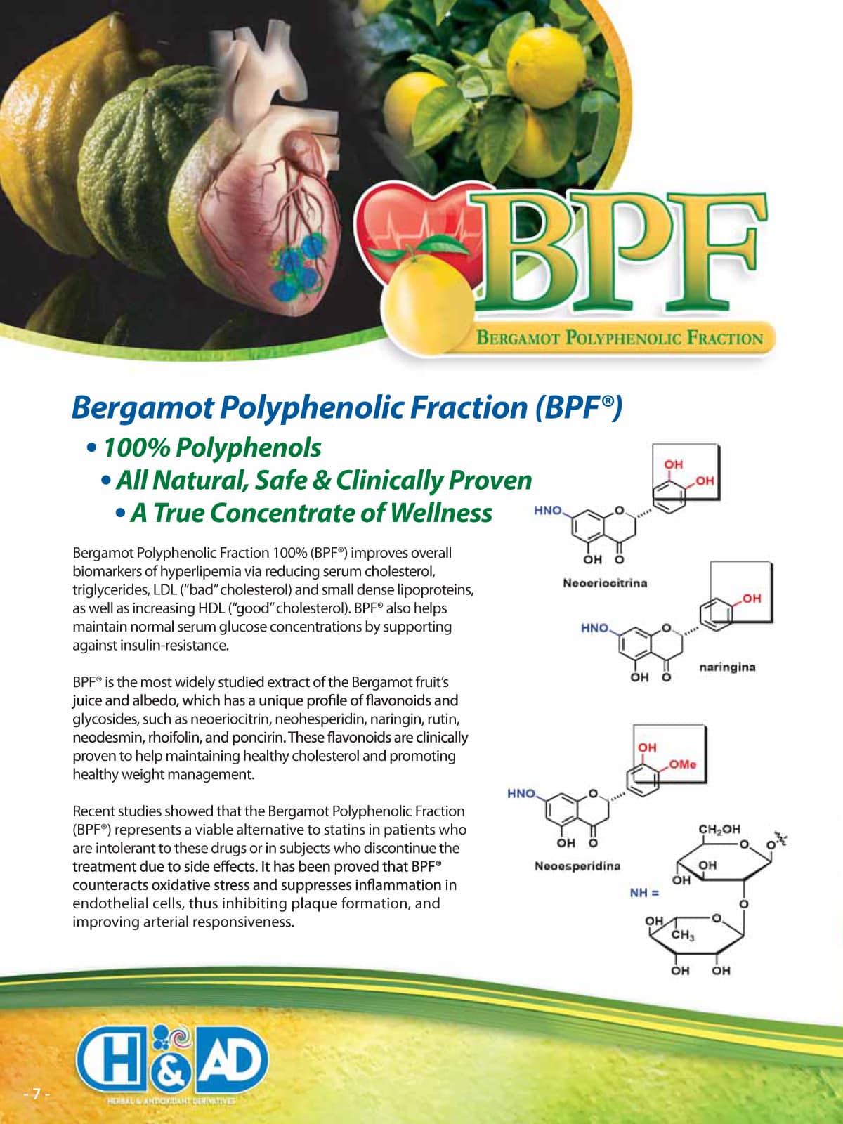 Advertisement for Bergamot Polyphenolic Fraction (BPF) with graphics and text on a green background.