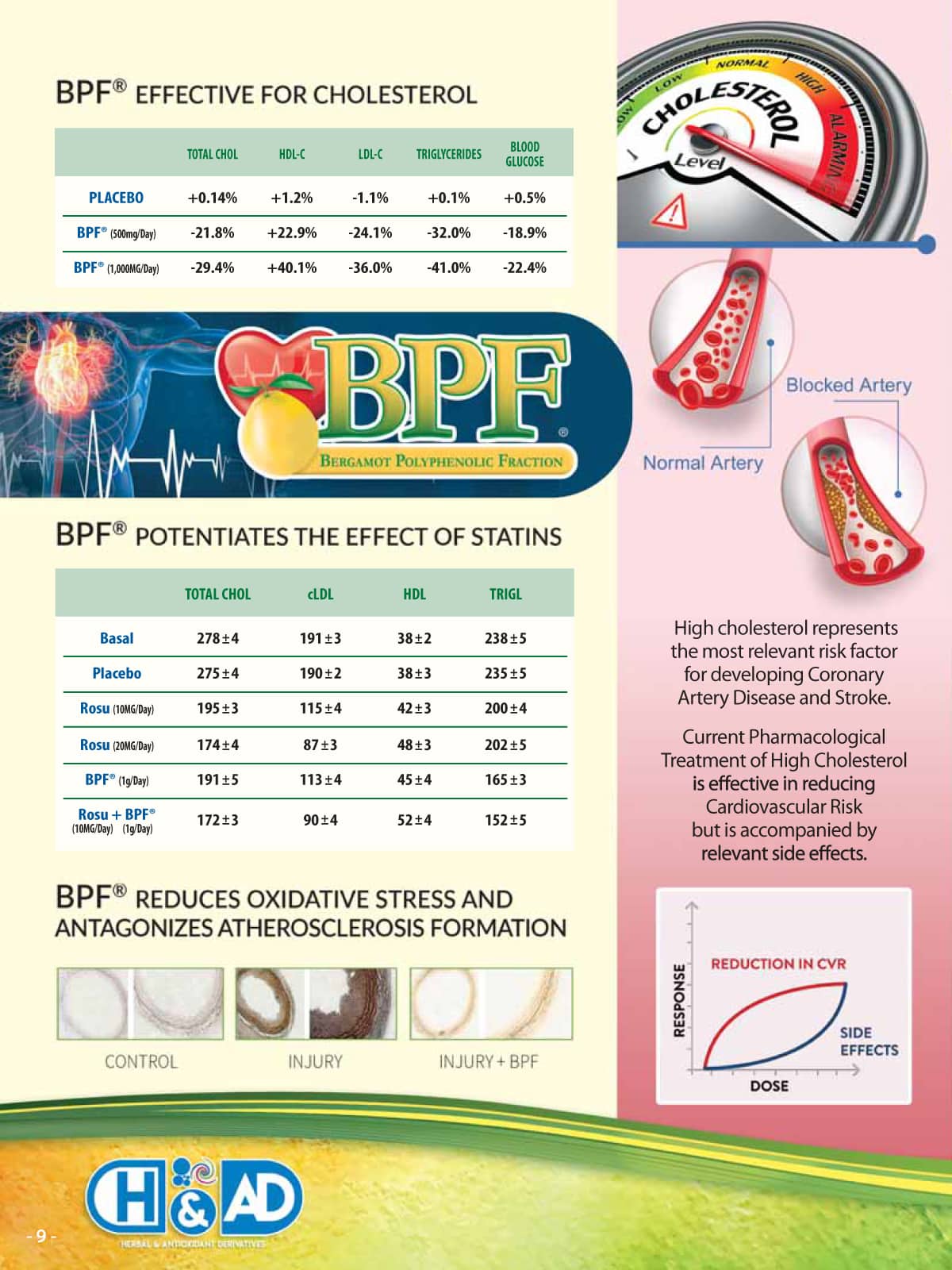 BPF cholesterol management product with scientific graphics and text on a colorful background