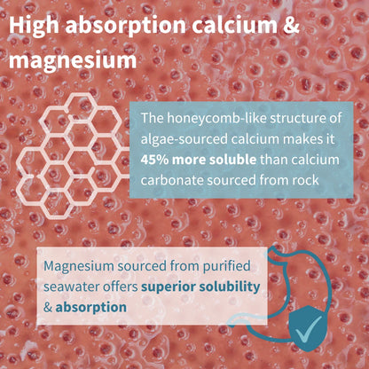 Text about high absorption calcium and magnesium with a honeycomb illustration on a textured background.