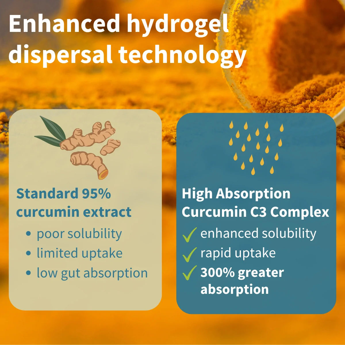 Comparison of standard 95% curcumin extract and High Absorption Curcumin C3 Complex on a turmeric powder background.