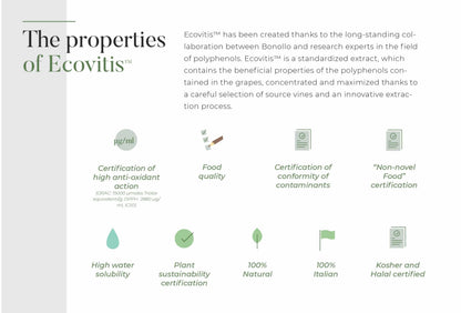 Informational graphic about Ecovitis with text and icons on a white background