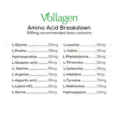 vegan collagen - containing amino acids: L-Glycine-L-Proline-Hydroxyproline-L-Glutamic-acid-L-Alanine-L-Arginine-L-Aspartic-acid-L-Lysine-HCL-L-Serine-L-Leucine-L-Valine-L-Phenylalanine-L-Threonine-L-Isoleucine-L-H