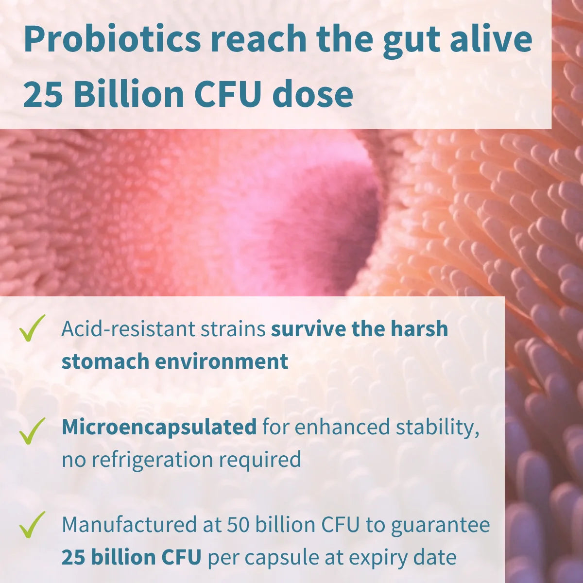 Probiotics advertisement with text about CFU dose and survivability in the gut.