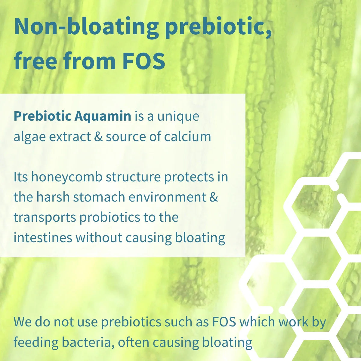 Advertisement for Prebiotic Aquamin with text and honeycomb structure background