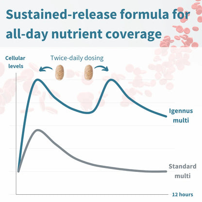 Graph comparing sustained-release formula for all-day nutrient coverage with Igennis multi and standard multi.