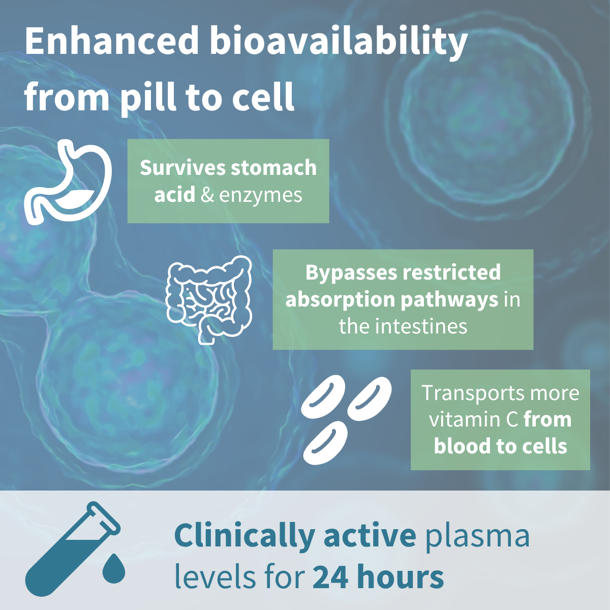 Diagram of a pill's journey from stomach to cell with text about bioavailability and clinical activity.