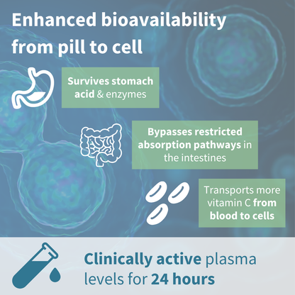 Diagram of a pill's journey from stomach to cell with text about bioavailability and clinical activity.