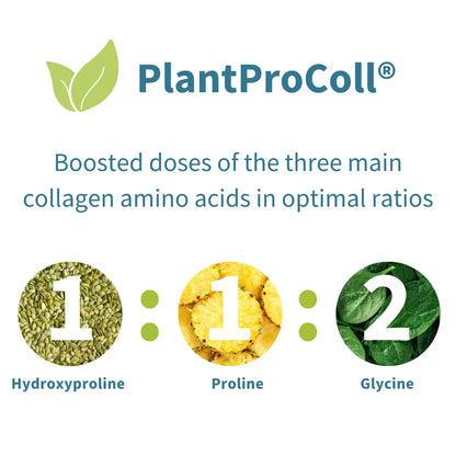 PlantProColl product description with three main collagen amino acids and their ratios on a white background.