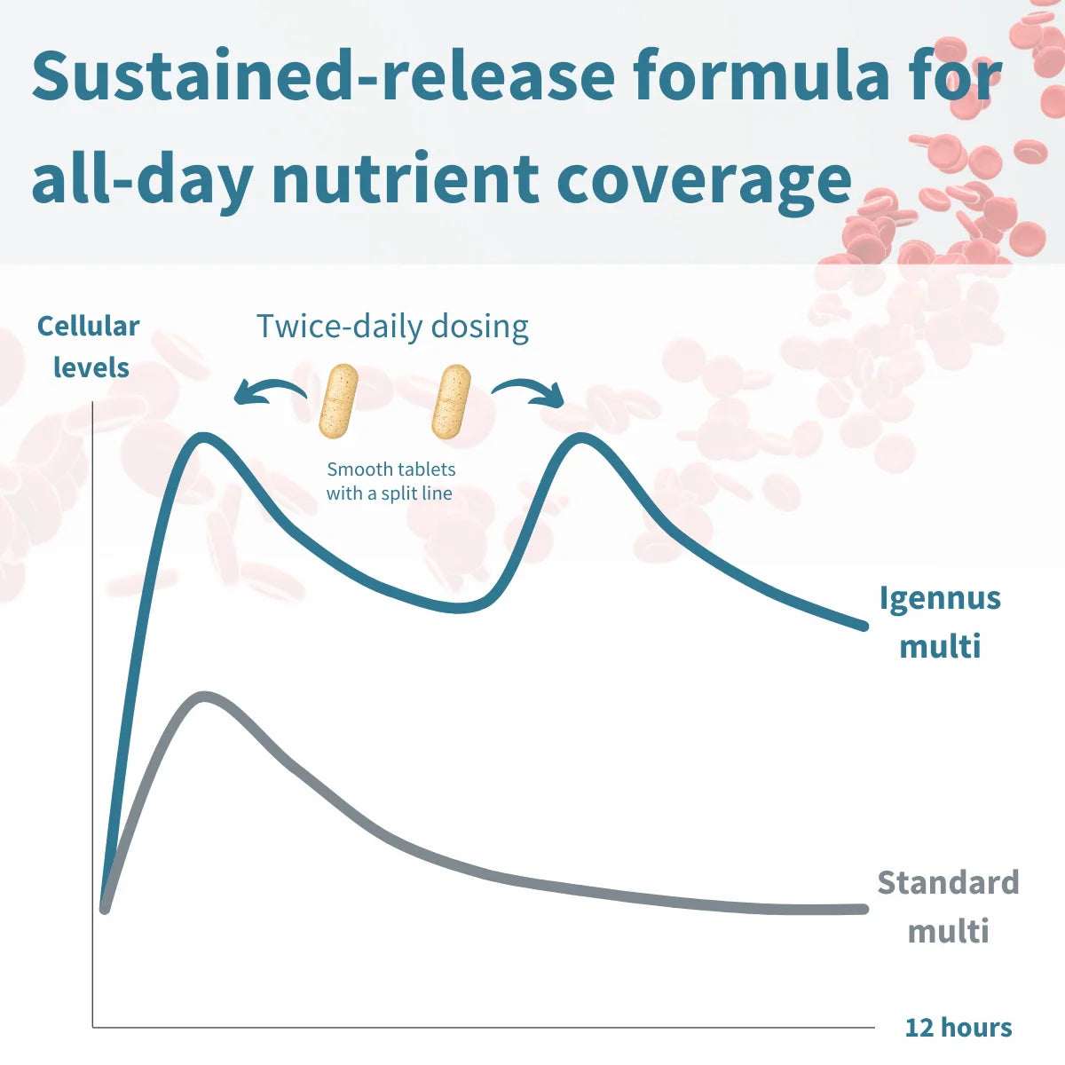Graph comparing sustained-release formula for all-day nutrient coverage with 'Igennis multi' and 'Standard multi'.