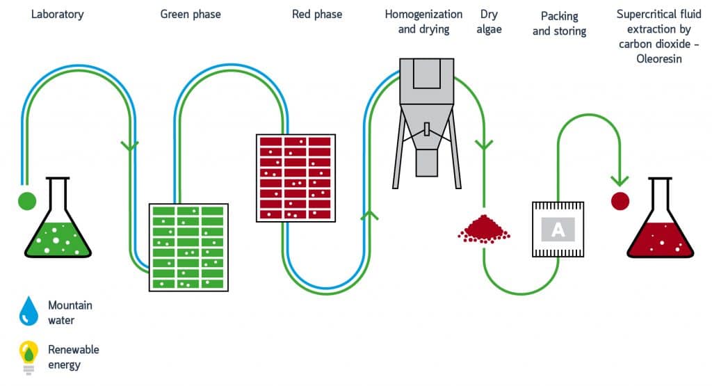 Diagram of a process flow with various stages and icons representing different elements.
