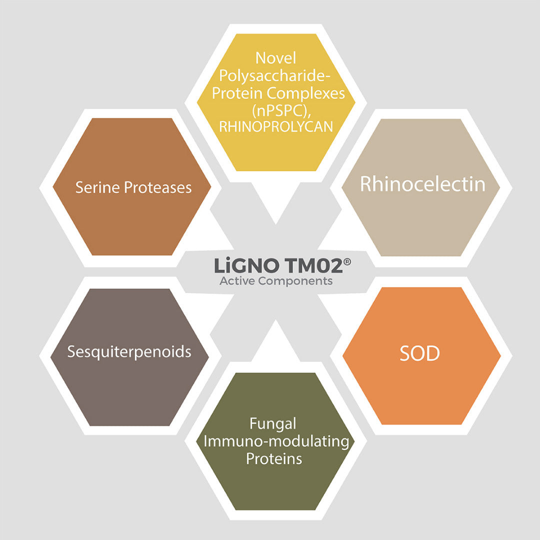 Hexagonal diagram of Ligno TM02 active components on a gray background