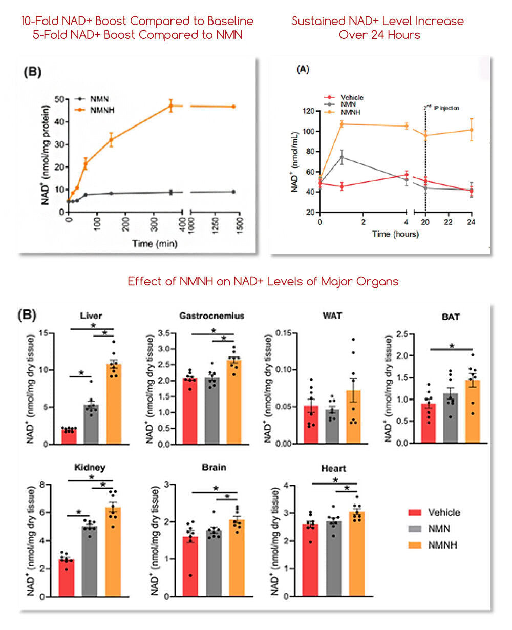 Ultra NMNH (Dihydronicotinamide Mononucleotide) - 10X Increase in NAD+ Levels - Cellular Energy & Longevity - Made with Premium UTHPEAK®