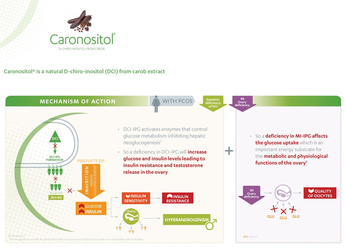 Diagram explaining the mechanism of action of Caronositol with text and icons on a white background.