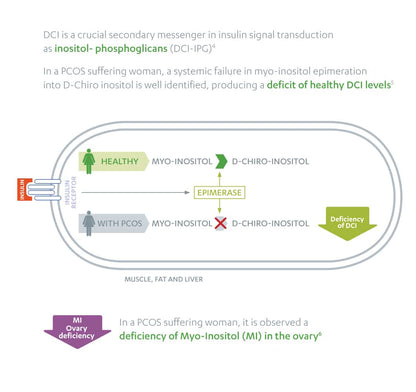 Diagram explaining the relationship between myo-inositol, D-chiro-inositol, and DCI levels in relation to PCOS.